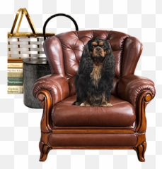 Leather Chair - Fridge Magnet P Calm And Love Your King Ch Club Chair Png,King Chair Png