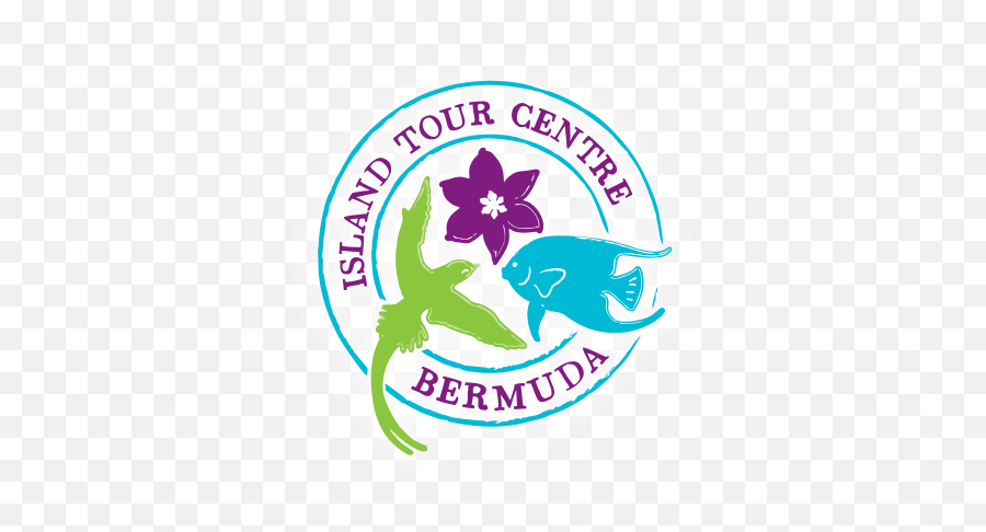 Exciting Place For Fun Things To Do U2013 Island Tour Centre Bermuda - Graphic Design Png,Banana Boat Logo