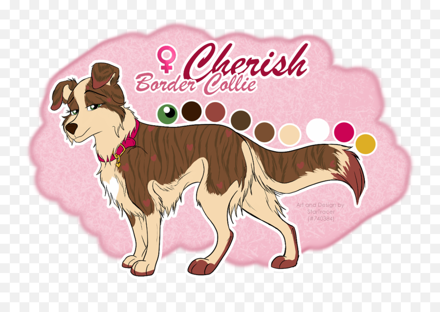 Cherish - Female Border Collie Bri Prioritas Png,Border Collie Png