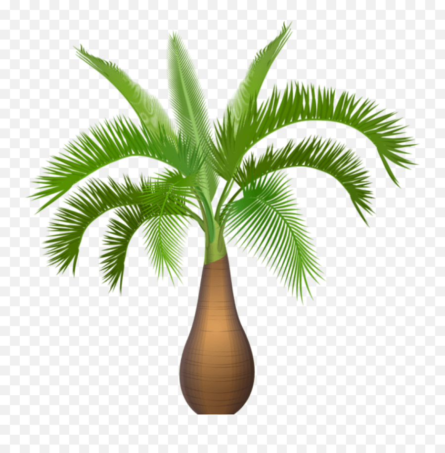 Palm Tree Plant Png Clip Art Image - Palm Trees Transparent Palm Tree Plant Clipart,Palmtree Png
