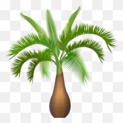Palm Tree Plant Png Clip Art Image - Trees Transparent Clipart