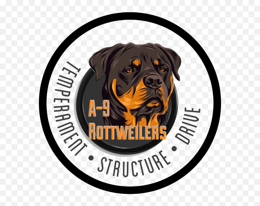 Download Rottweiler Png Image With No - Rottweiler,Rottweiler Png