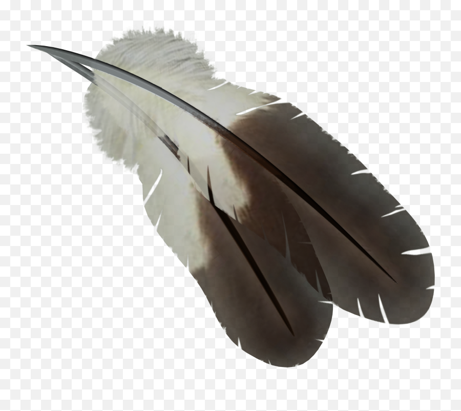 Feather Png - Birds Feather Png,Feather Png