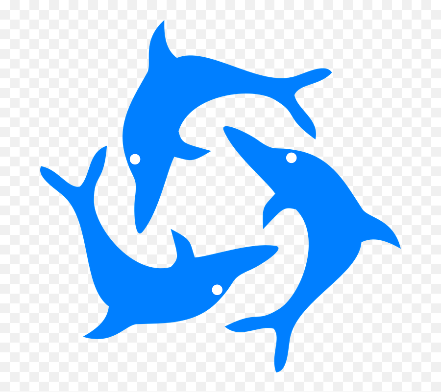 Dolphins Fish Jumping - Free Vector Graphic On Pixabay Flag Of Anguilla Png,Dolphins Logo Png