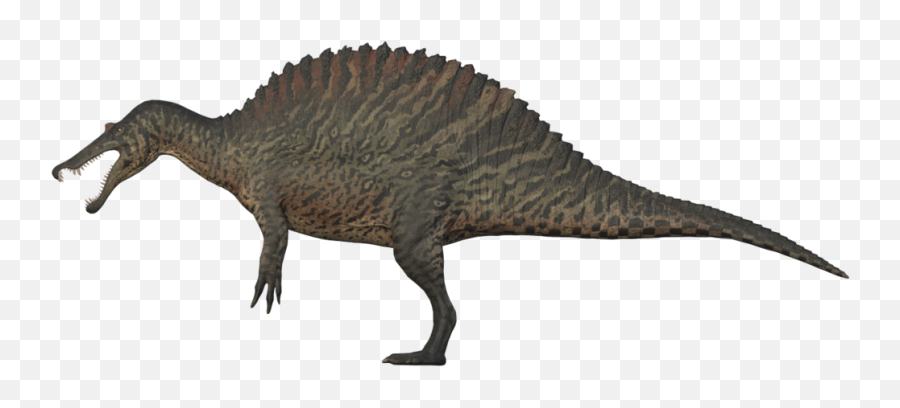 Spinosaurus Png Background Image - Spino The Isle,Spinosaurus Png