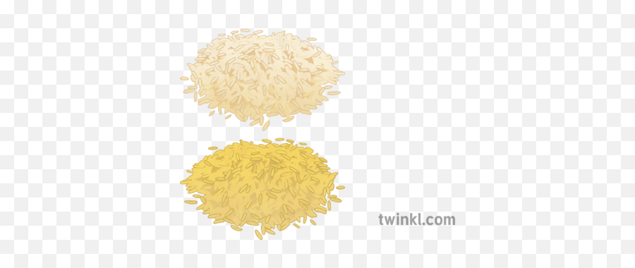 Golden Rice Illustration - Twinkl Rice Illustration Png,Rice Png