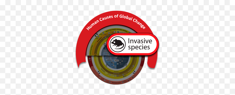 Invasive Species - Language Png,Invasive Plant Icon