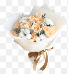 Pollen U0026 Petals - Bouquet Cotton Flowers Png,Pollen Png