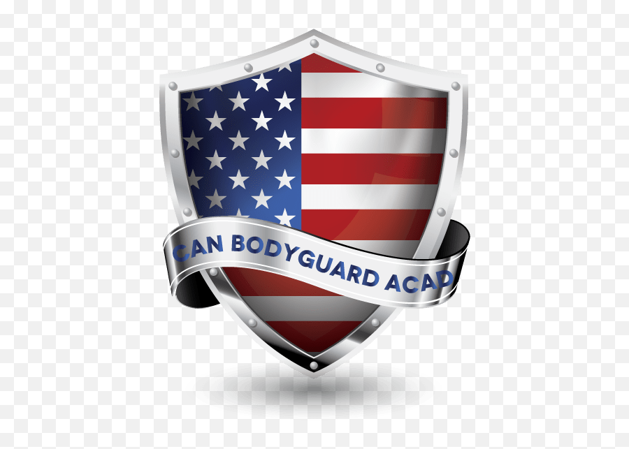 Nra - National Riffle Association Of America American American Bodyguard Academy Png,America Flag Icon