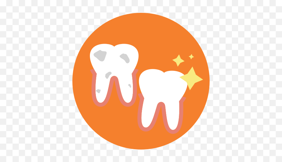 Dental Plans - Fast Quotes Healthmarkets Dot Png,Teeth Icon Vector