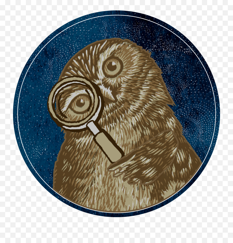 Odom - Saska Adoptions Owl Png,Mother 3 Icon