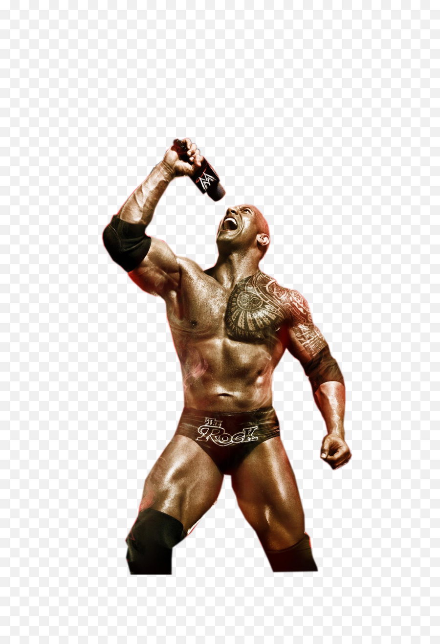 Rock Transparent Png - The Rock Png File Wwe The Rock Wwe 2k14 The Rock,Cartoon Rock Png