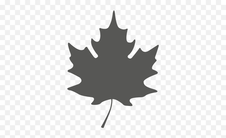Simple Maple Leave Silhouette - Transparent Png U0026 Svg Vector Vector Maple Leaf Png,Fall Leaf Transparent