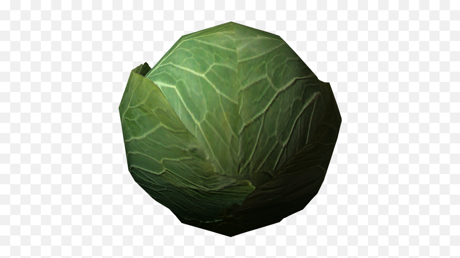 Cabbage With Transparent Background Png Mart - Cabbage Transparent,Cabbage Png