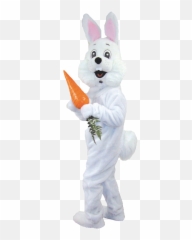 Easter Bunny With Transparent Background Chainimage - Png