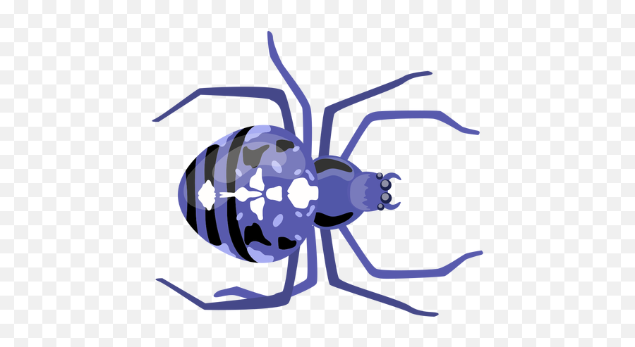 Transparent Png Svg Vector File - Insect,Spider Transparent