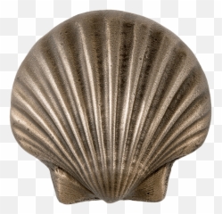 Vieira Metálica Png Transparente - Scallop Metal Tiles,Concha Png