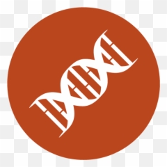 Transparent Dna Logo Design Png Picture 2781801 - Icon,Dna Logo