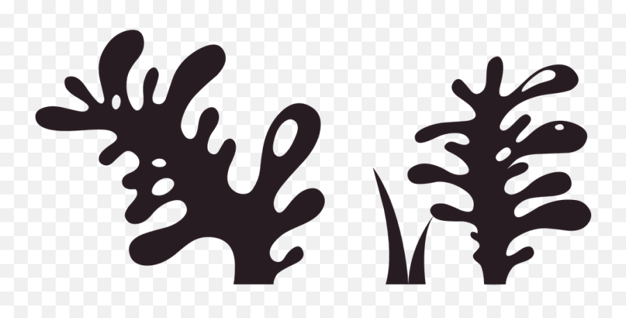 Plant Black Nature - Seaweed Plant Silhouette Png,Grass Silhouette Png