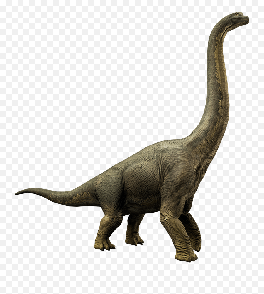 Download Brachiosaurus Jurassic World - Jurassic World Alive Brachiosaurus Png,Brachiosaurus Png
