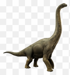 Download Brachiosaurus Jurassic World - Jurassic World Alive Brachiosaurus Png,Brachiosaurus Png