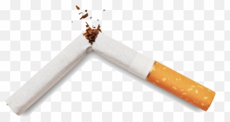 Home - Quit Big Tobacco Broken Cigarette Png,Tobacco Png