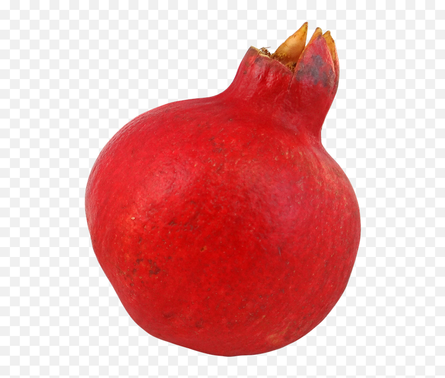 Download Pomegranate Png Image For Free - Pomegranate,Pomegranate Png