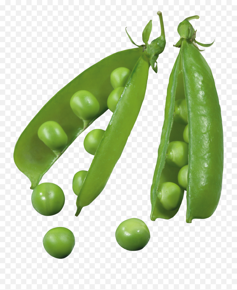 Pea Png Picture - Seed Dispersal By Explosion Peas,Pea Png