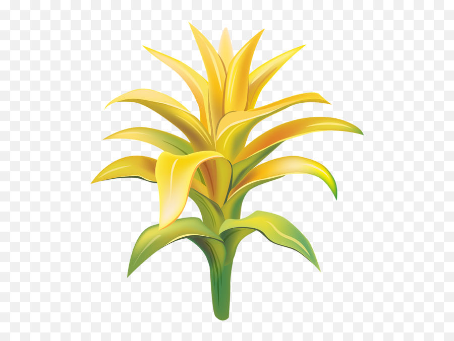 Yellow Exotic Flower Transparent Clip - Fresh Png,Tropical Flowers Png