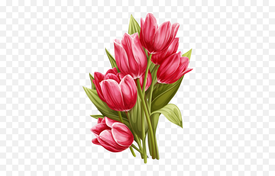 Download Hd Drawing Tulips Vintage - Art Tulip Watercolor Painting Png,Tulips Png