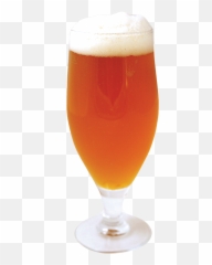 Download Goblet Beer Png Image Hq - Fruit