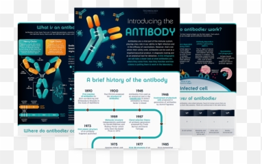 Introducing The Antibody - Vertical Png,Antibody Png