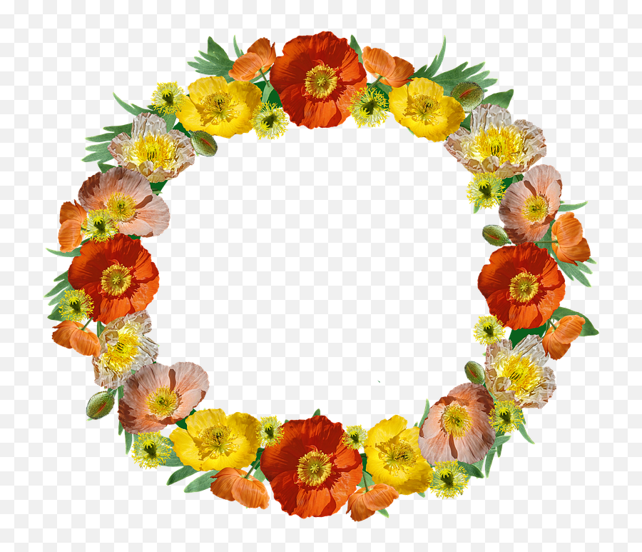 Download Wreath Border Poppies Floral Frame Decorative Png