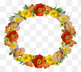 Download Wreath Border Poppies Floral Frame Decorative Png