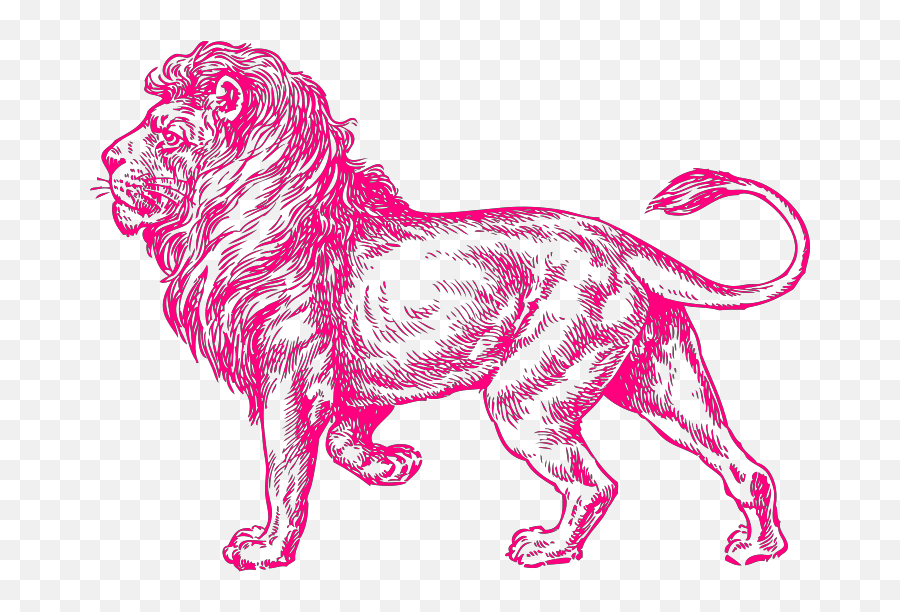 Pink Lion Svg Vector Clip Art - Svg Clipart Suydney University Liberal Club Logo Png,Sea Lion Icon