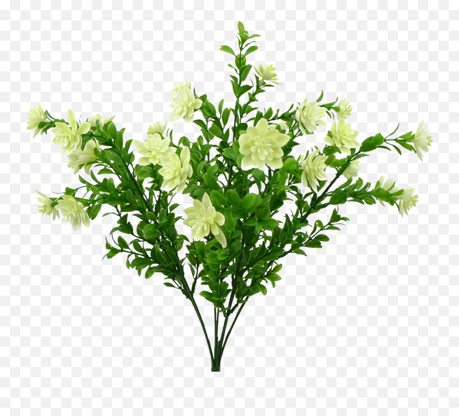 Plastic Cream Tea Flower Bush - Fines Herbes Png,Lavendar Bush Icon