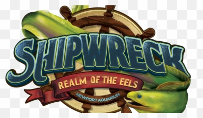 New Shipwreck Exhibit Coming To Newport Aquarium Wrgt - Language png