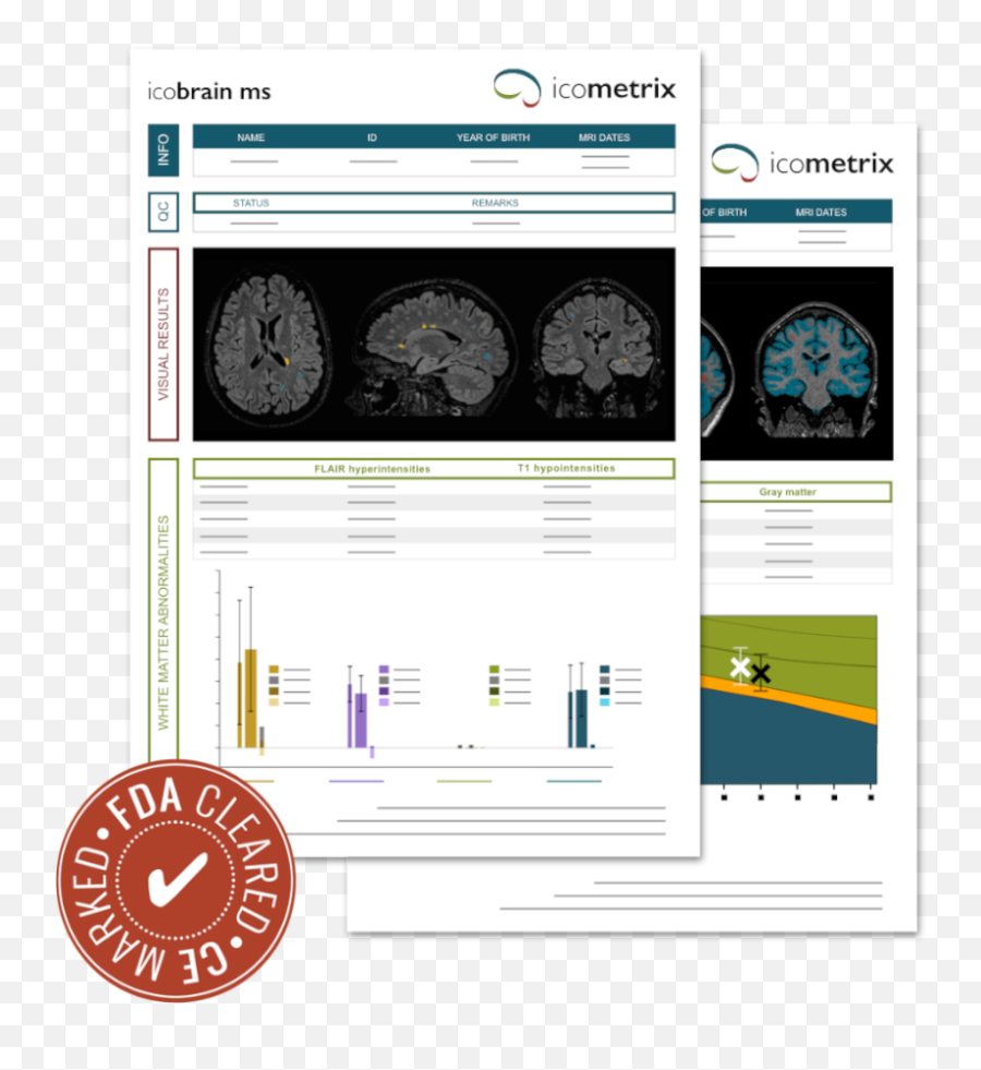 Icobrain Product Overview Icometrix - Language Png,Mri Icon