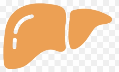 Plegridy Peginterferon Beta - 1a Safety u0026 Side Effects Language png