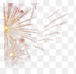 Gold Firework Transparent Png Clipart - Fireworks