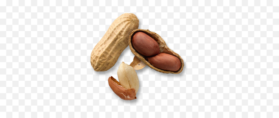 Peanut Butter Banana - Almond Vs Peanut Nutrition Png,Peanut Transparent