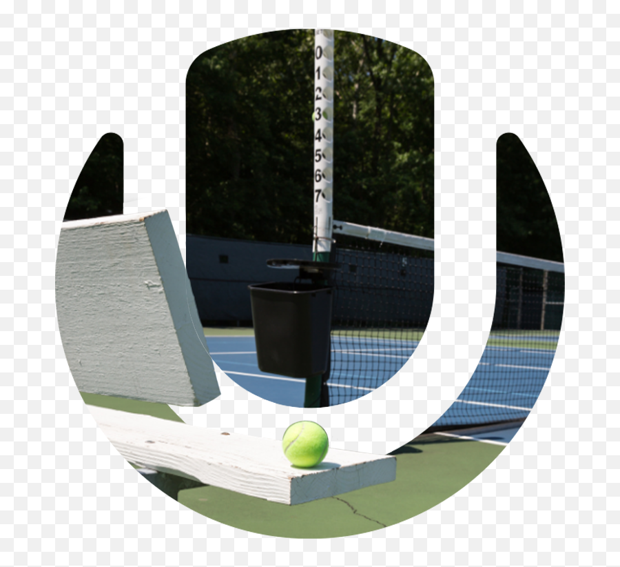 Universal Tennis - Tree Png,Alamat Kemang Icon