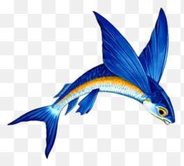 Porcelain Flying Fish Mosaic - A u2014 Custom Mosaics Clipart Png
