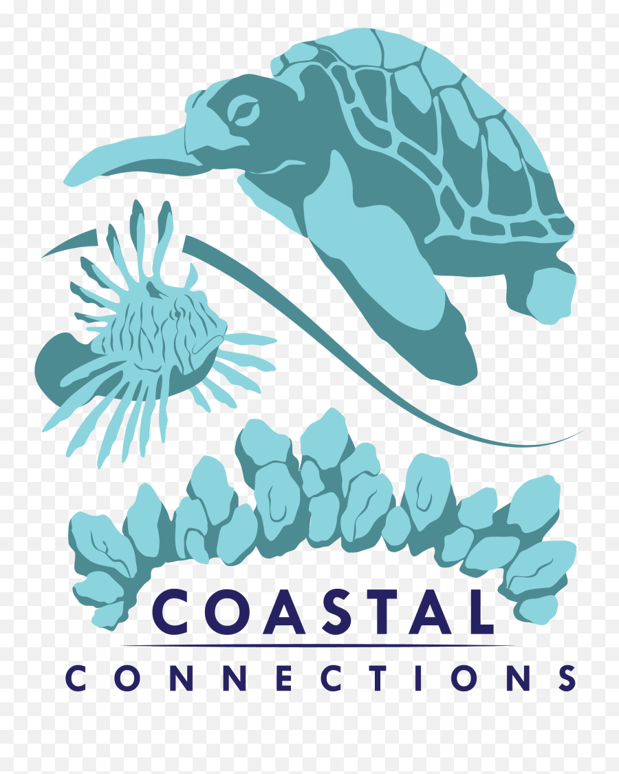 Dinosaur Celebration Saturdays - Coastal Connections Png,Icon 56505