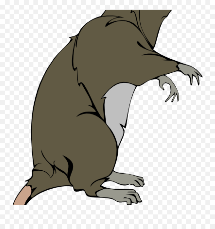 Rat Clipart Clip Art Free Panda - Rat Clip Art Png,Rats Png