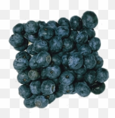 Berries - Seedless Fruit Png,Berries Png