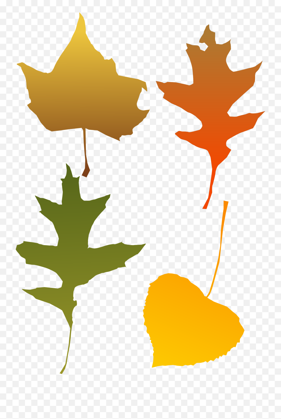 Download Autumn Leaf Color Red Maple Tree - Autumn Leaf Clip Autumn Leaf Clip Art Png,Maple Tree Png