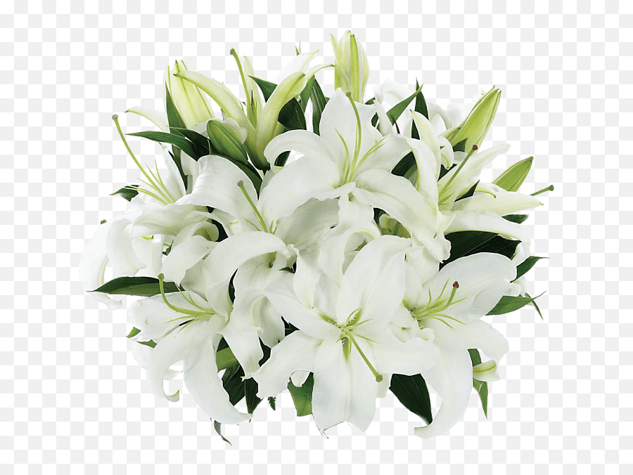 Tight Bouquet Of Lilies Transparent Png - White Flower Bouquet Png,Lily Transparent Background
