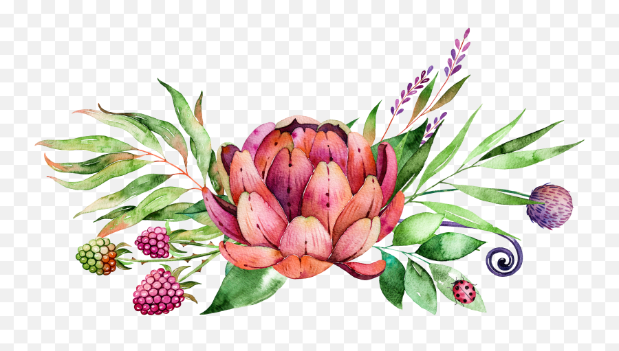 Painting Flower Succulent Plants - Protea Png Free,Succulents Png