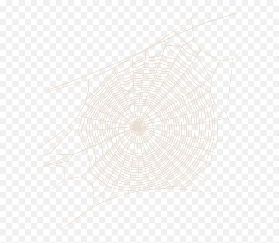 Download Hd Spider Web Transparent Png - Spider Web Professional Photography Photo Of Spider Web,Spider Web Png